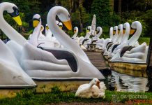 Um bate e volta pra Gramado e Canela.