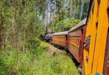 Trem da Serra do Mar: Maria Fumaça entre Rio Negrinho e Corupá, em SC. Maria Fumaça - Rio Negrinho - Corupá