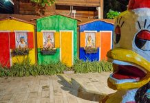 O que fazer em Porto de Galinhas – Principais atrativos turísticos.