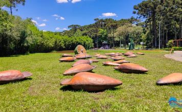 Parque Pinhal de Santana – o mais novo parque de Curitiba. Parque Pinhal de Santana - Curitiba