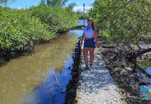 Cabaraquara, conheça o “Caminho das Ostras” em Guaratuba. A melhor Ostra do Brasil. Cabaraquara - Guaratuba