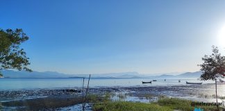 Ilha do Amparo – Conheça este belo vilarejo na Baía de Paranaguá: Vista panoramica a partir da Ilha do Amparo, em Paranaguá, no litoral do Paraná.